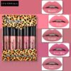 Velvet Waterproof Lipstick 5 Pcs Set - Image 3